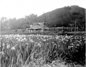 上田郷　昭和初期