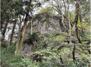 天狗石山　岩