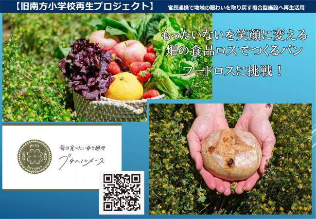 【南方】プチヘルメース