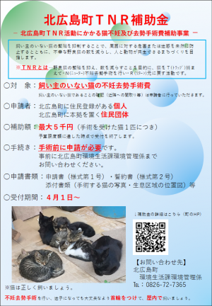 チラシ