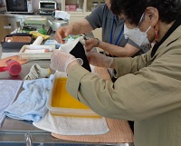 講座の様子3