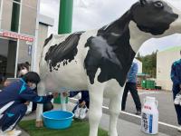 搾乳の疑似体験をする生徒