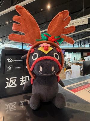 クリスマス飾り画像3