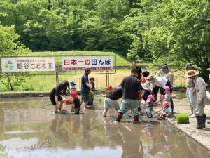 田植え1