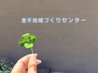 四葉のクローバー1