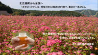 赤そば