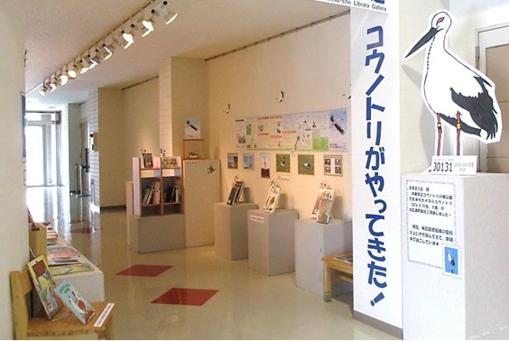 コウノトリ展示