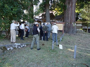 熊野新宮神社大スギ