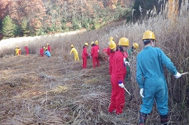 地域の方や茅葺職人の指導の下、茅刈り体験