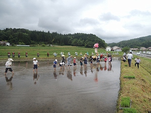 悪戦苦闘中