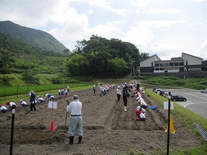 種まき風景1