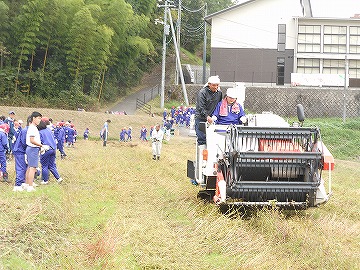 機械で収穫中