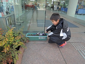 八重小学校からお花をいただきました