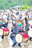 壬生の花田植1