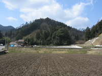 今田氏城館跡