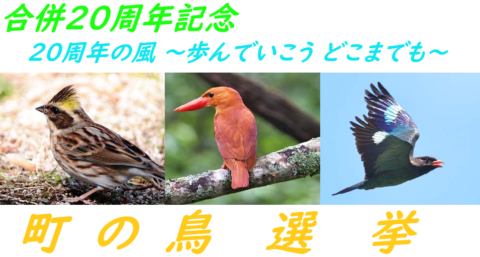 町鳥選挙